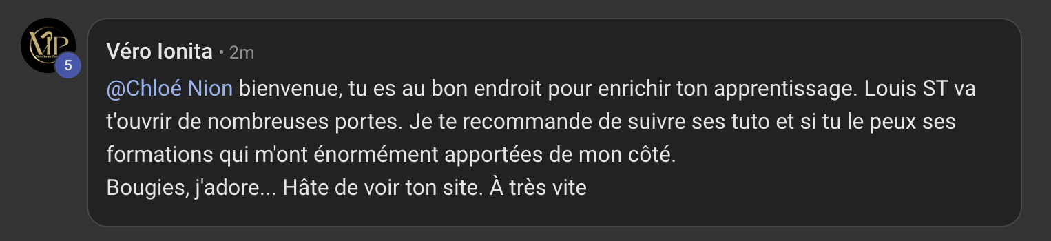 Capture de l'avis de Véro Ionita